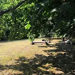 Golcza Choszczno