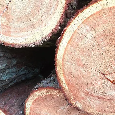 Golcza Σπίτι διακοπών Choszczno