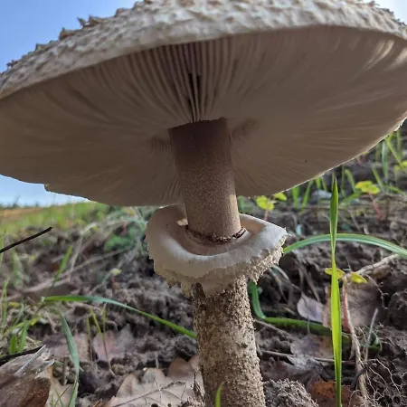 Σπίτι διακοπών Golcza *