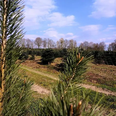 Σπίτι διακοπών Golcza Choszczno