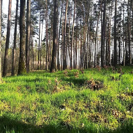 Golcza Σπίτι διακοπών *