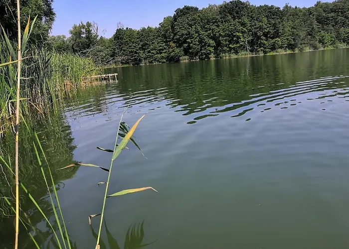 Feriehus Golcza Choszczno